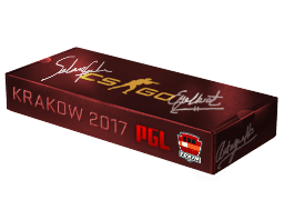 Krakow 2017 Train