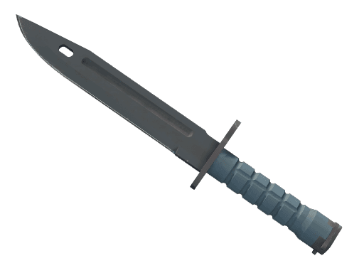 Bayonet | Night