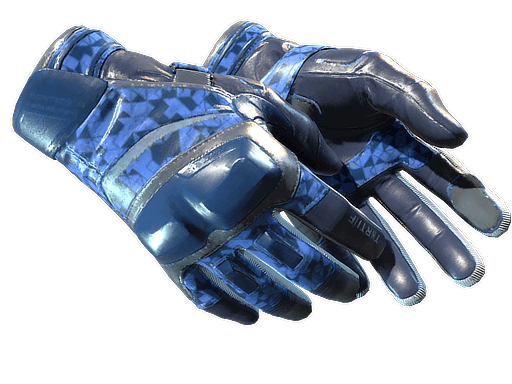 Moto Gloves | Polygon