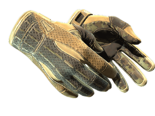 Sport Gloves | Arid