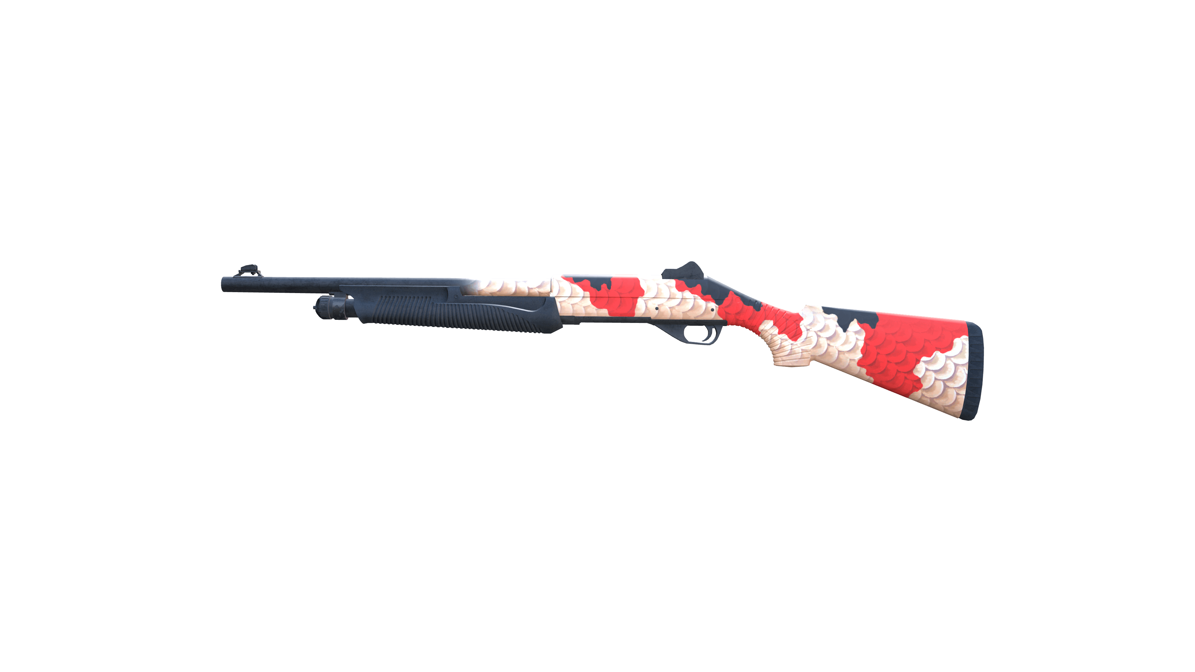 Nova | Koi